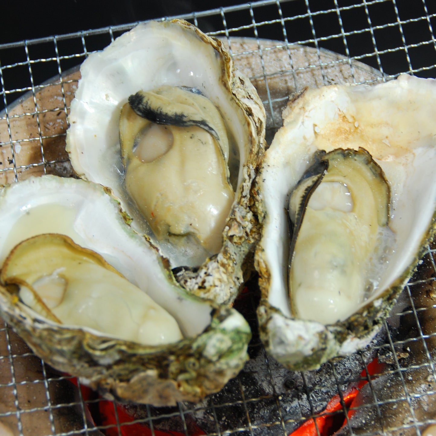 【冷凍】旬の殻付き牡蠣 10個