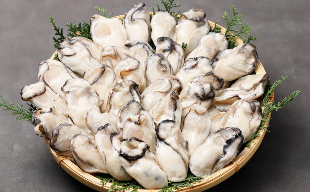 【贈答用】【冷凍】こだわりの大粒牡蠣むき身 1kg 化粧箱入り