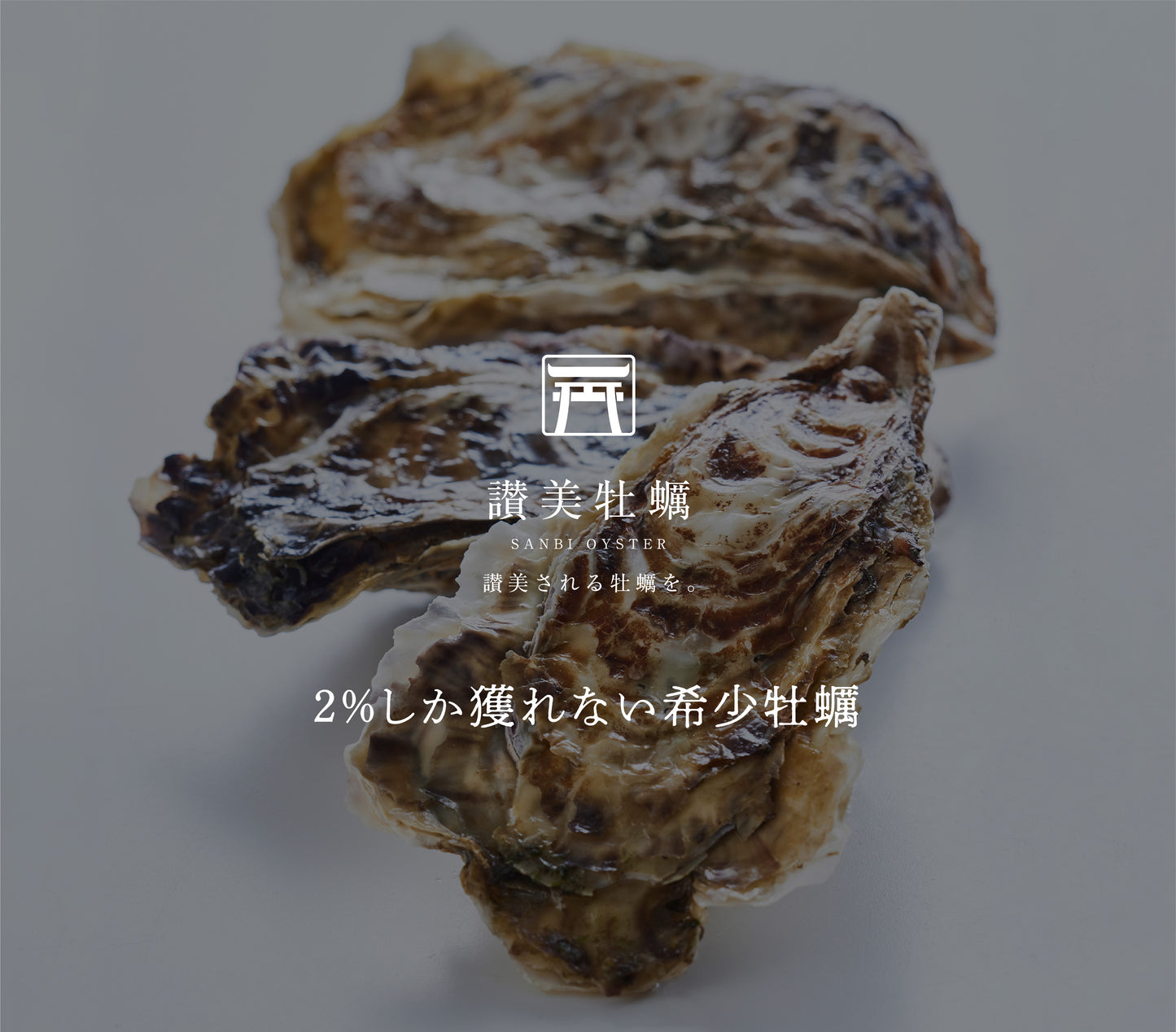 【冷凍】讃美牡蠣の牡蠣すき焼き