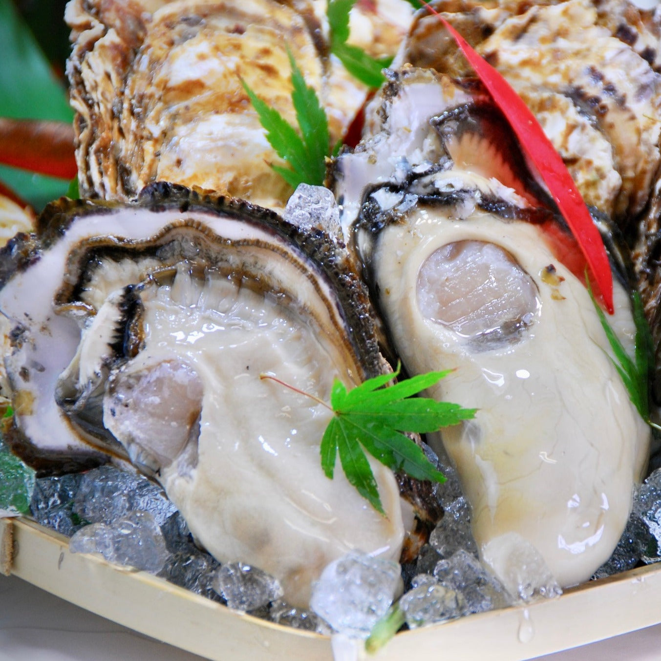 【冷凍】こだわりの大粒牡蠣むき身 1kg