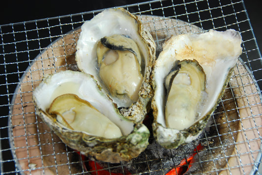 【冷凍・限定商品】讃美牡蠣の冷凍殻付き牡蠣　（大）１５個